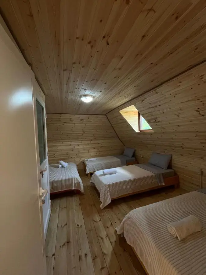 Guesthouse Driti