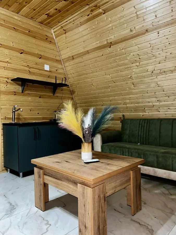 Panorama cottage Martvili