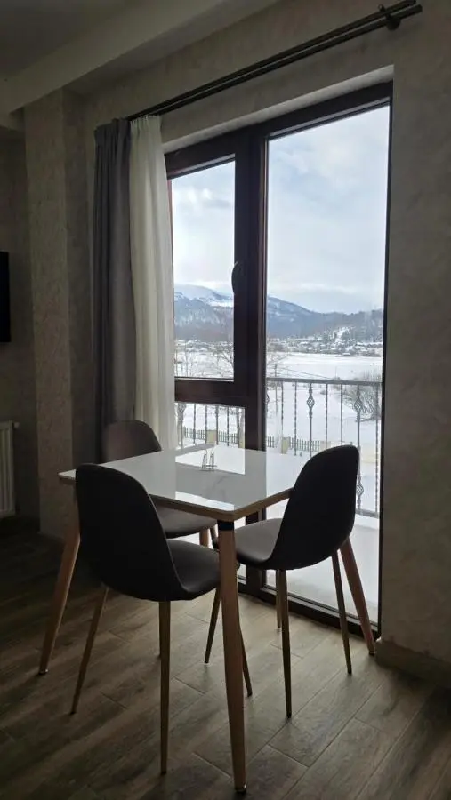 Bakuriani apartment 205 Tsakadze st 20