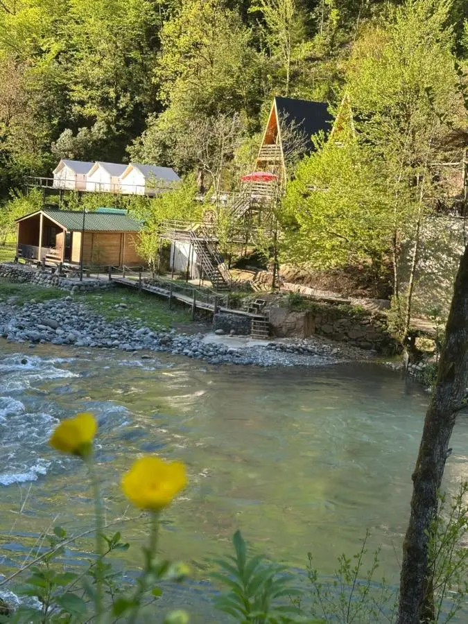 A villa in nature