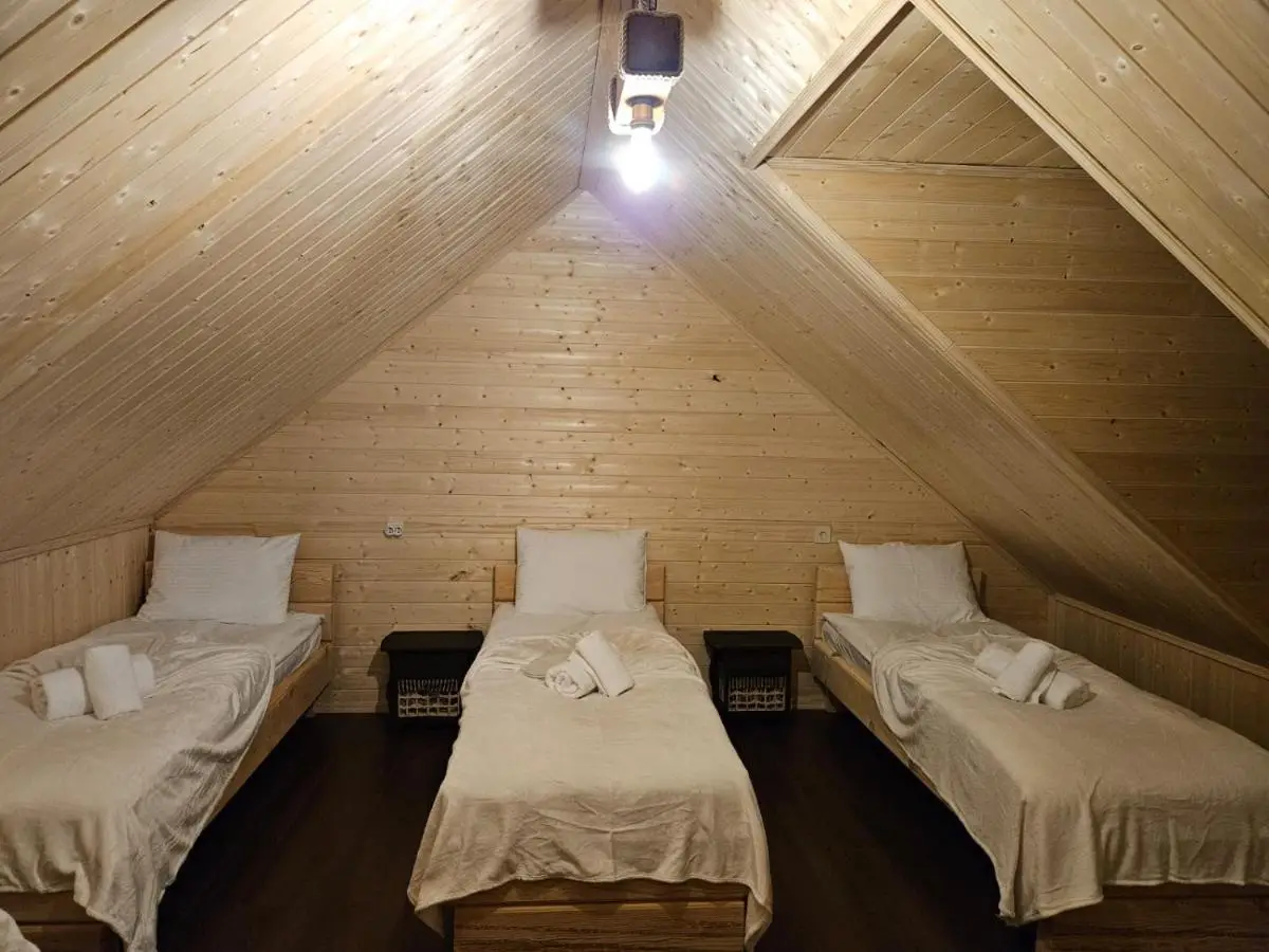 Tatu's wooden hut