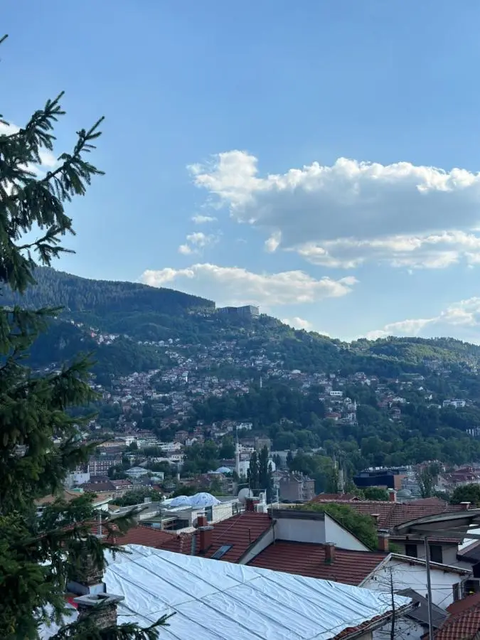 Old Town Diaries