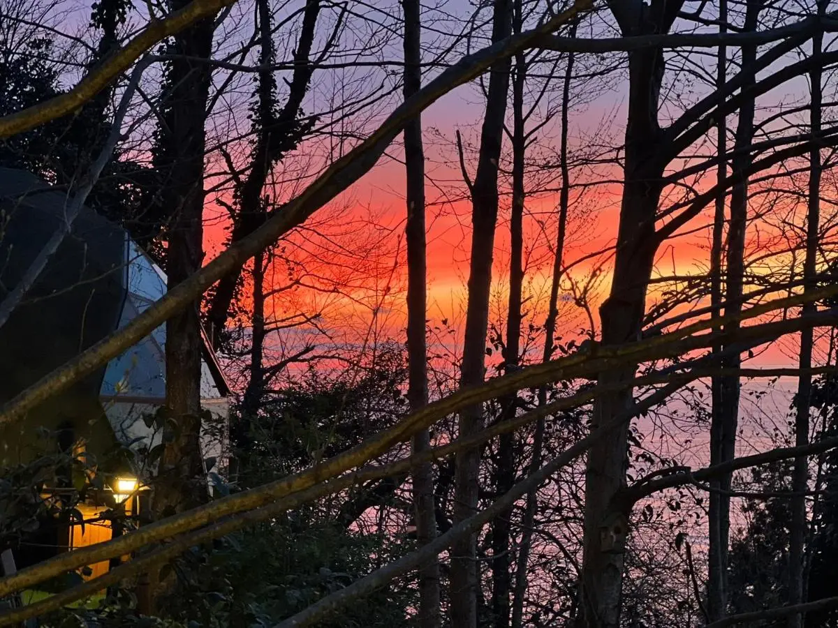 Luxury Glamping near Batumi