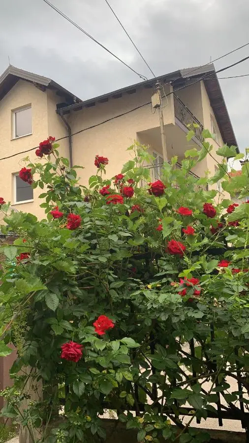 Saray House Sarajevo