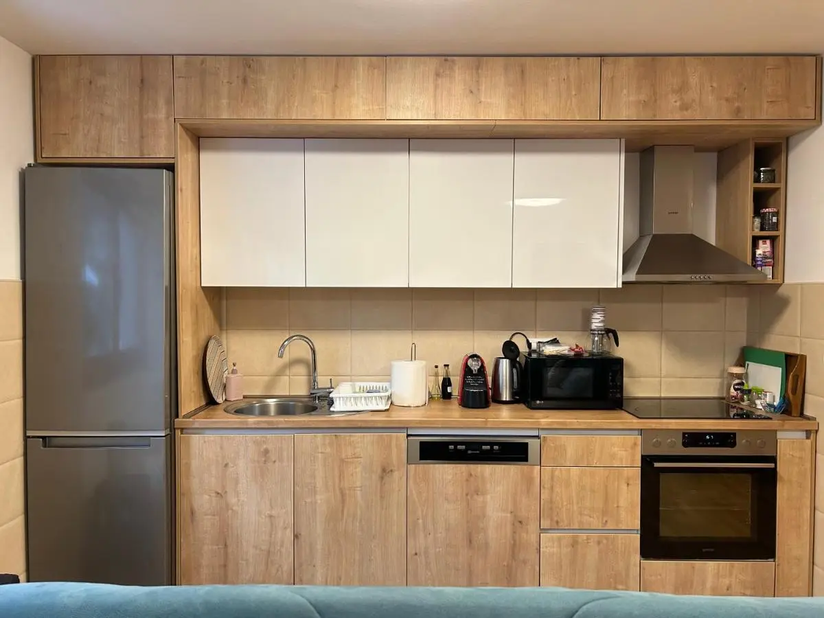 Montis Vlasic Apartment 1