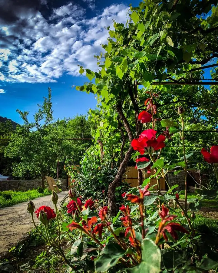White House In Borjomi