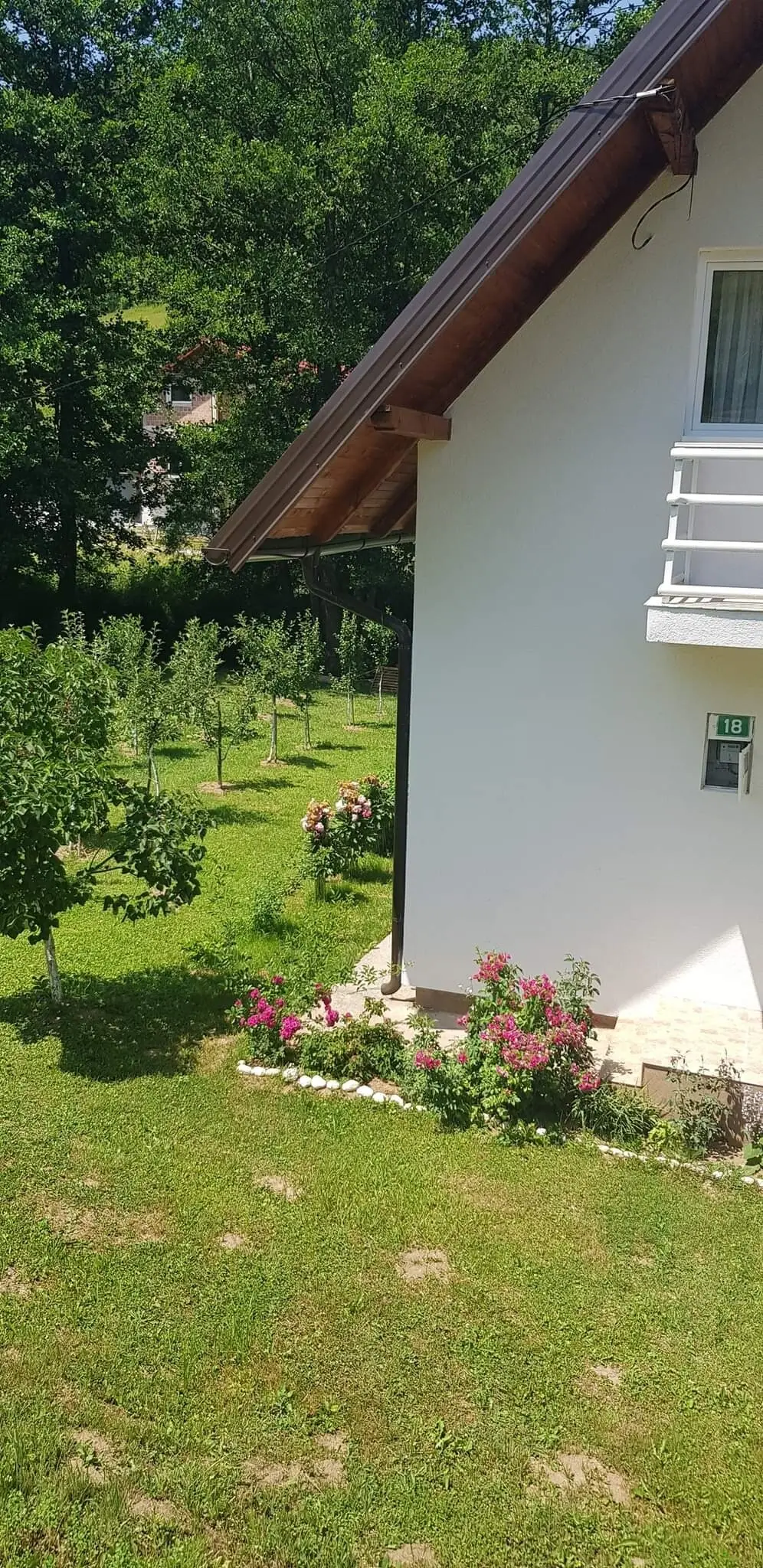 Orange House