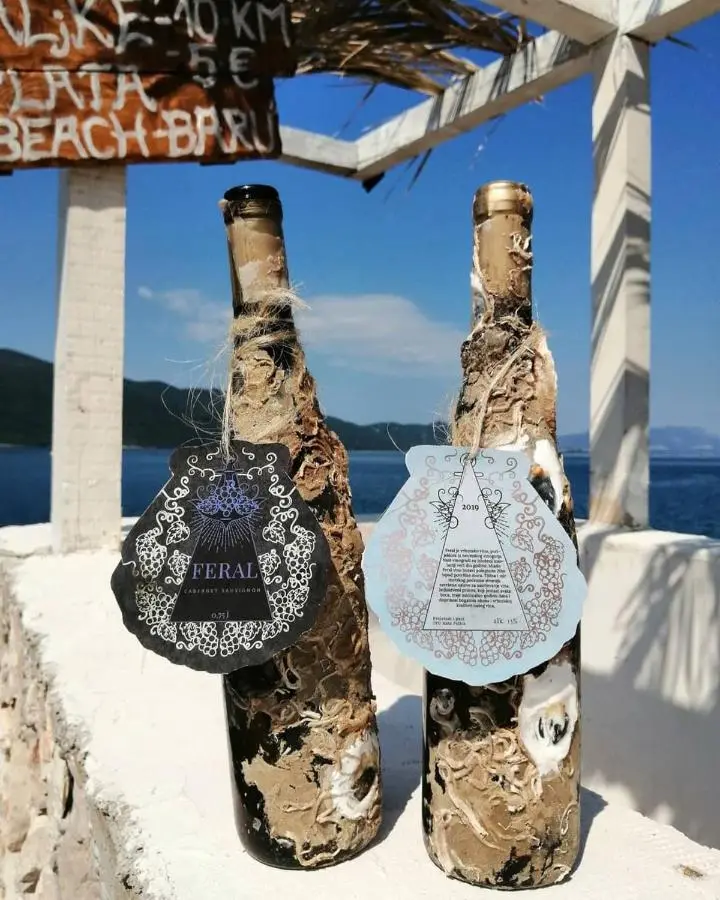 Feral Beach