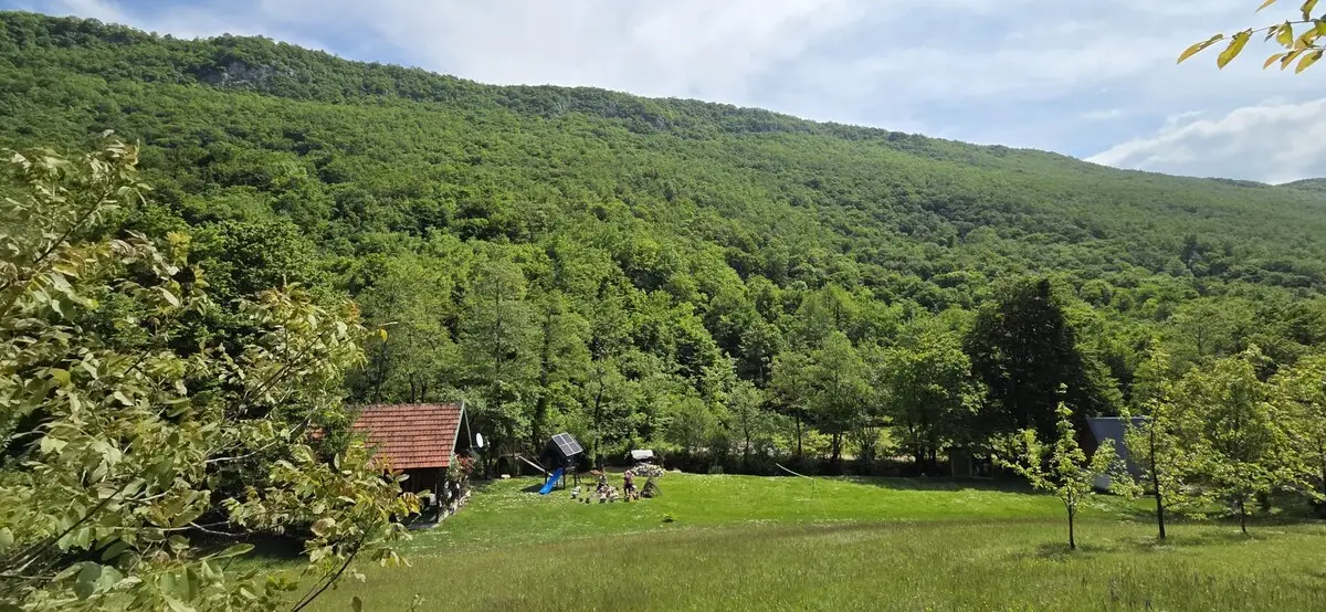 Nina's Cabin