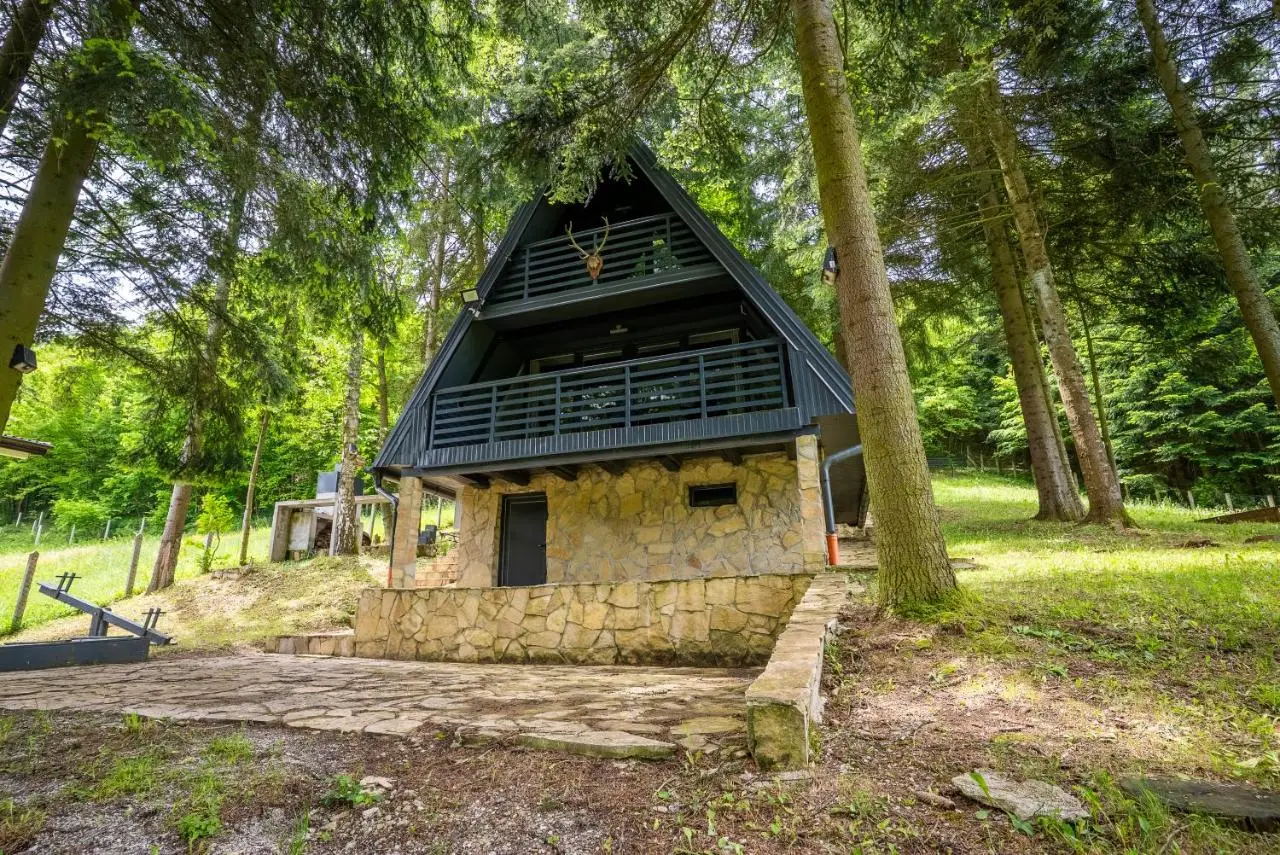 Cozy Love Nest