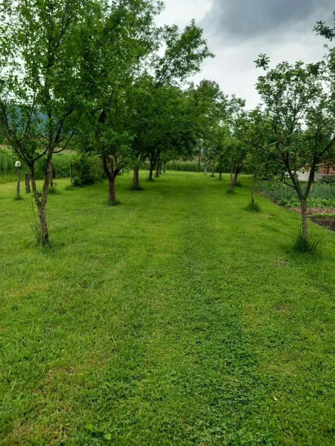 Kuca za odmor Amber