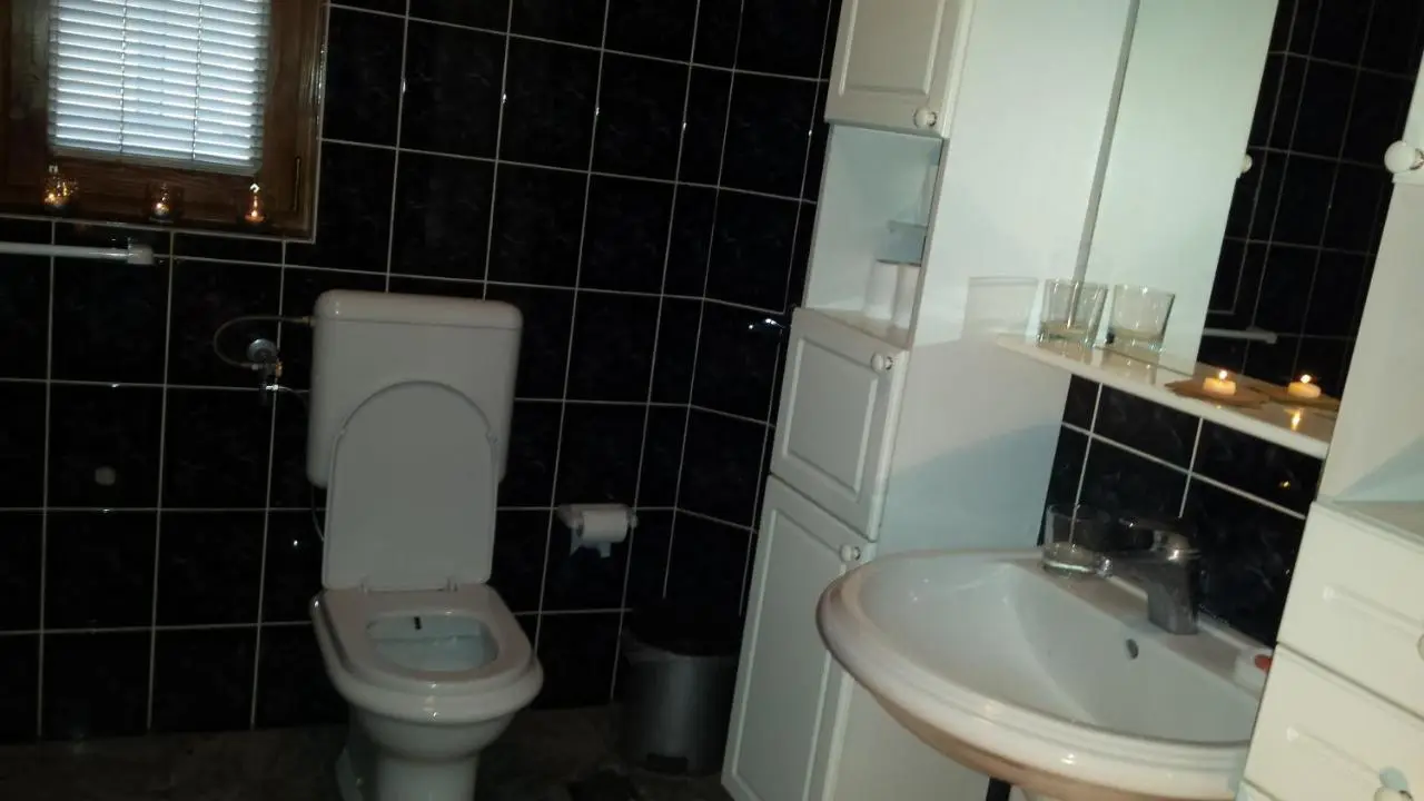 Apartment Maxim