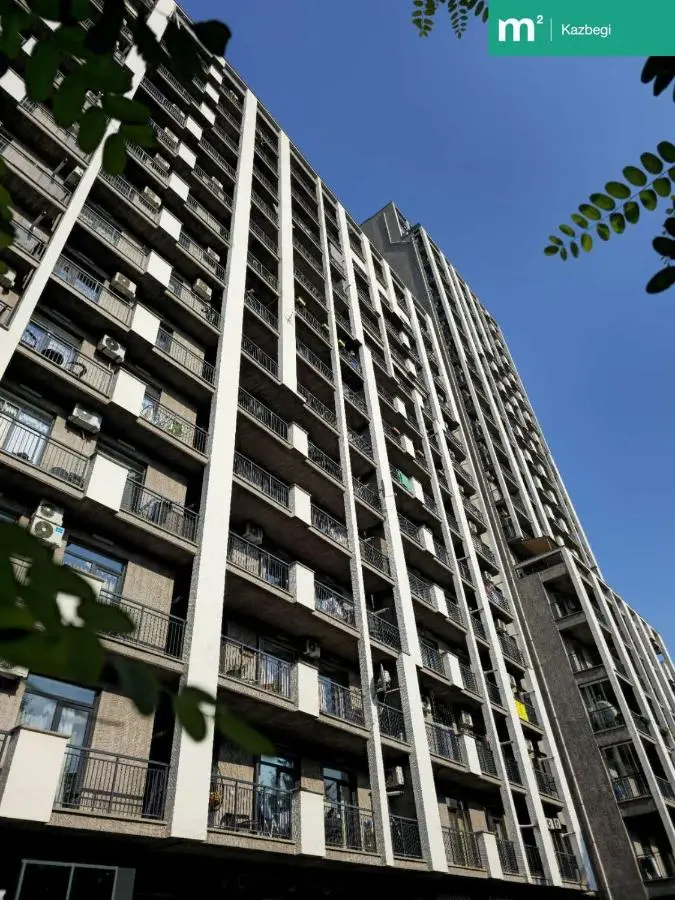 M2 Complex Spacious Apartment 2 on Kazbegi Avenue 25 in City Center
