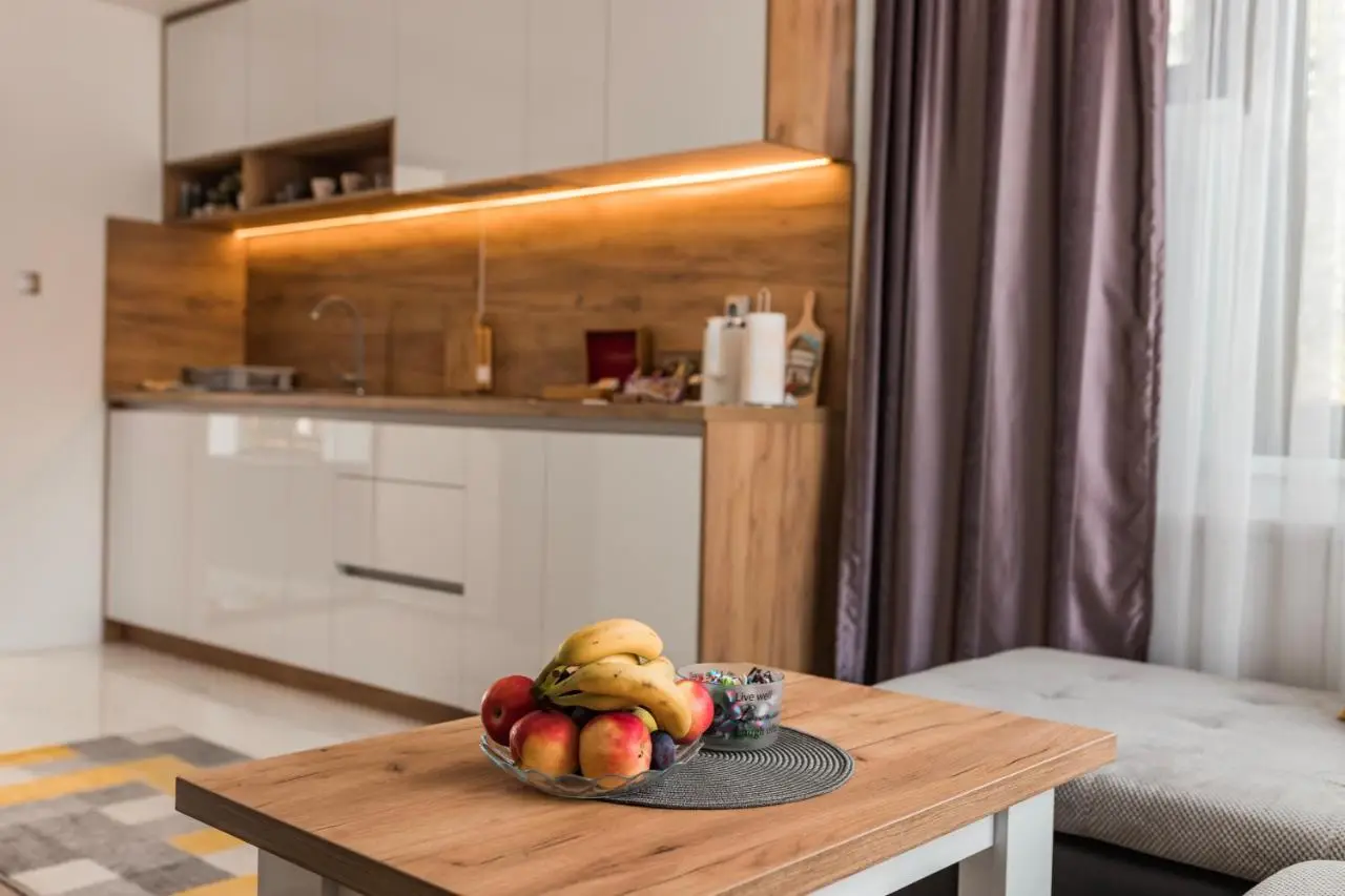 Downtown Apartment Travnik
