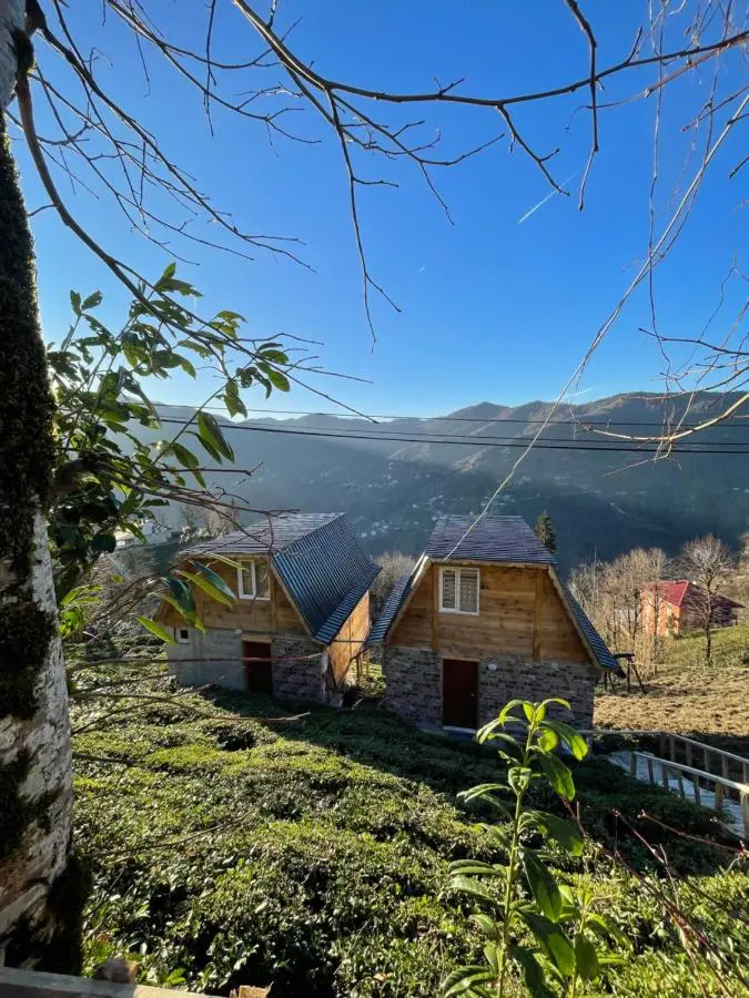 Nozona Villa-Dağ Evleri