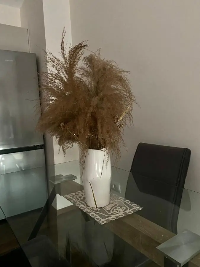 Olea Seaside Apartment