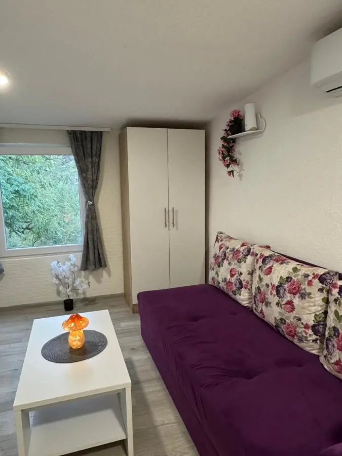 Georgeous lux apartment