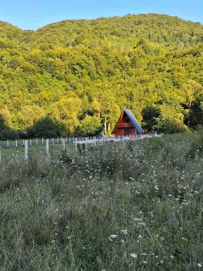 Whisper of the Pliva