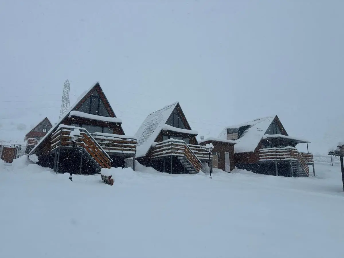 T&T cottage