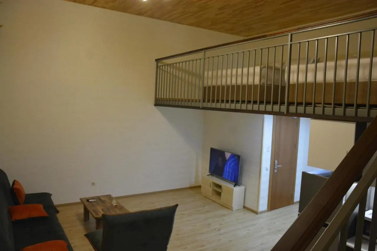 Tovstonogovi Street Apartment