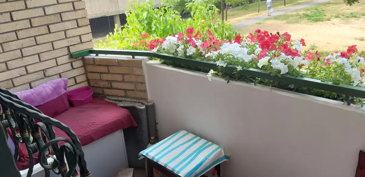 Medena apartment