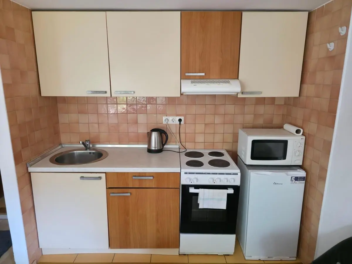 Apartment near center