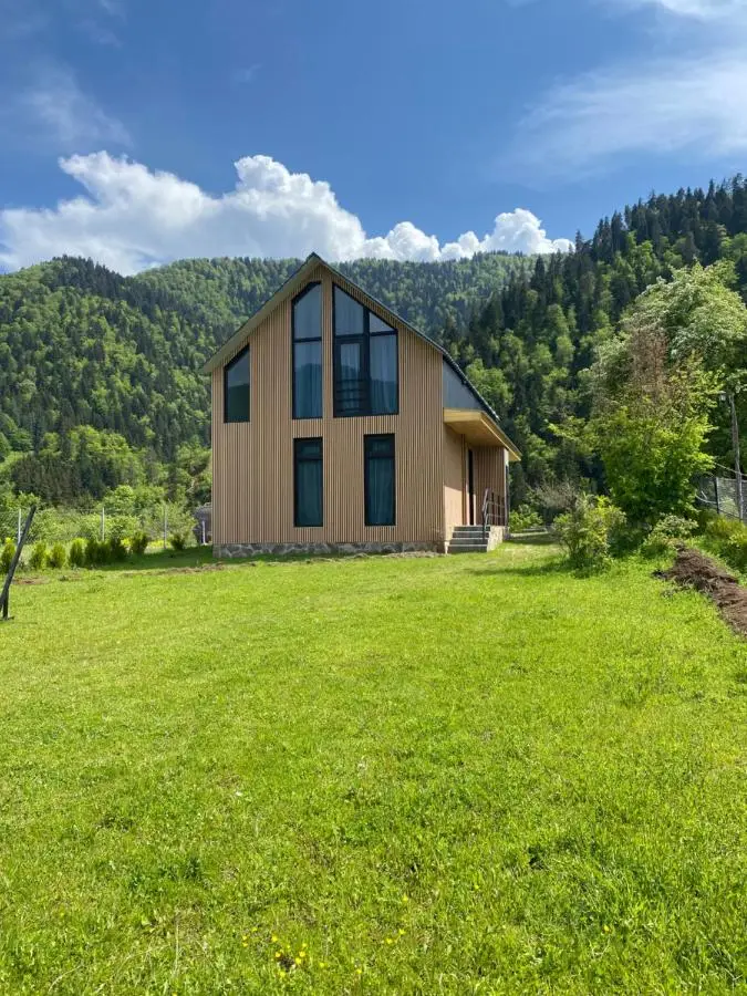 MTA house - Borjomi