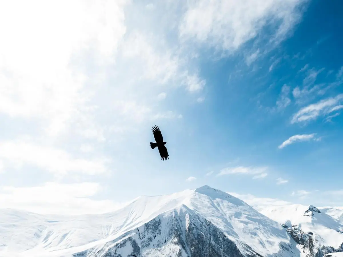 Rooms Hotel Kazbegi