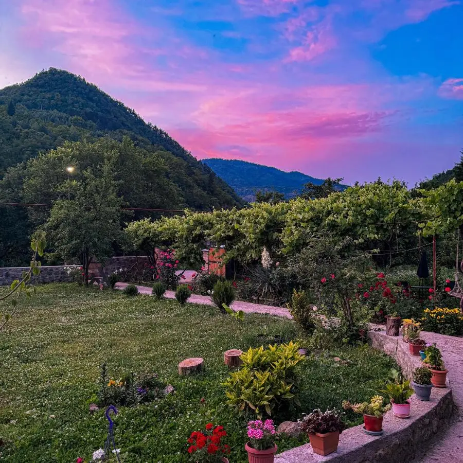 White House In Borjomi