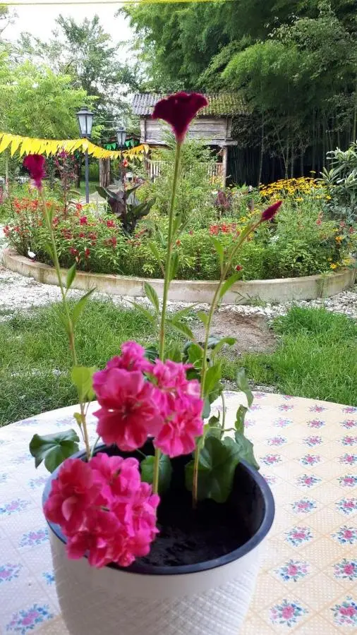 Guesthouse Luka