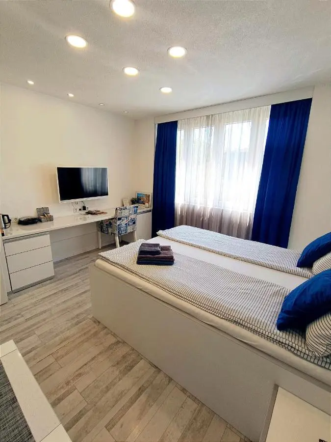 LuxApart Dzidzikovac City Centar free parking