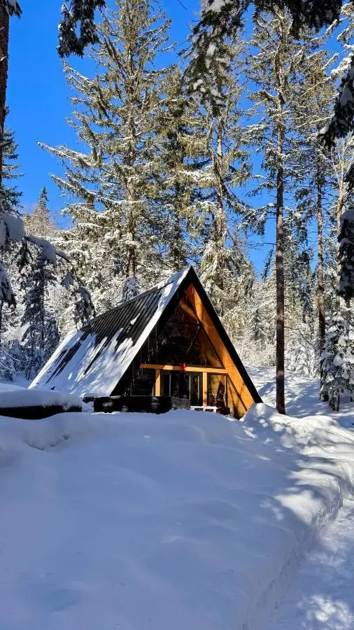 The Cozy Chalet