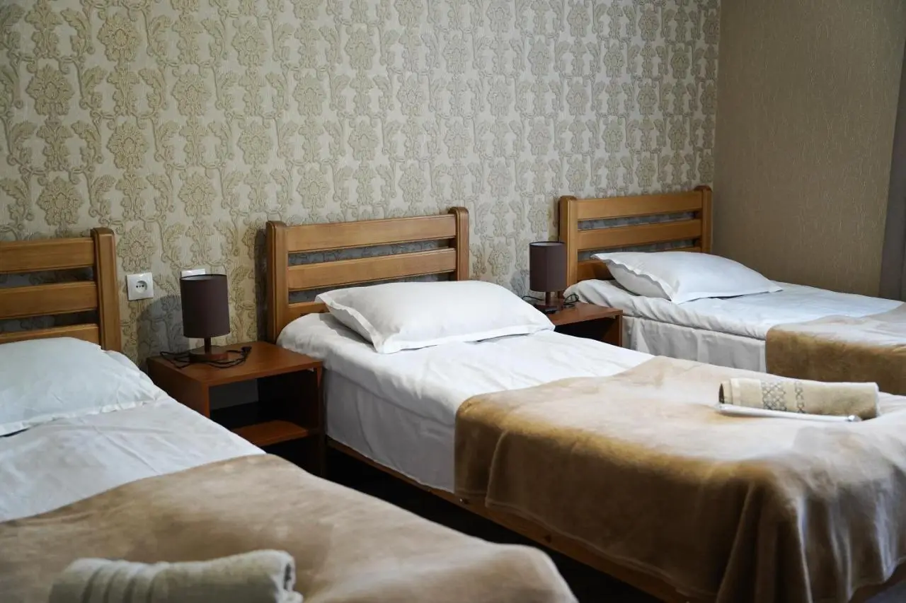 Hotel Elia Kazbegi