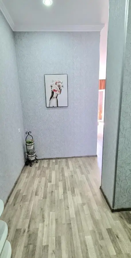 Kate's cozy apartment