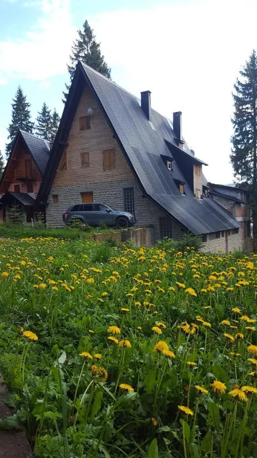 Apartments A Vlasic