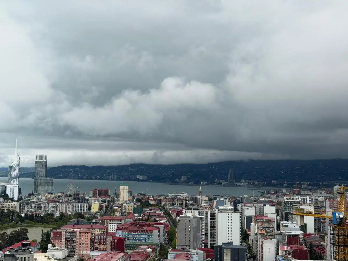 Grand Panorama in Alliance Palace Batumi