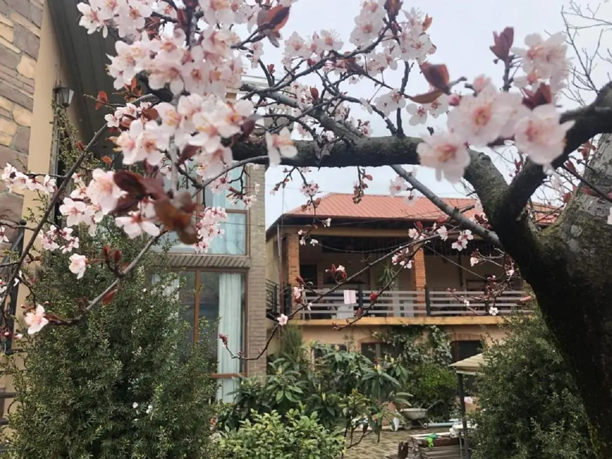 Batumi Wonderland