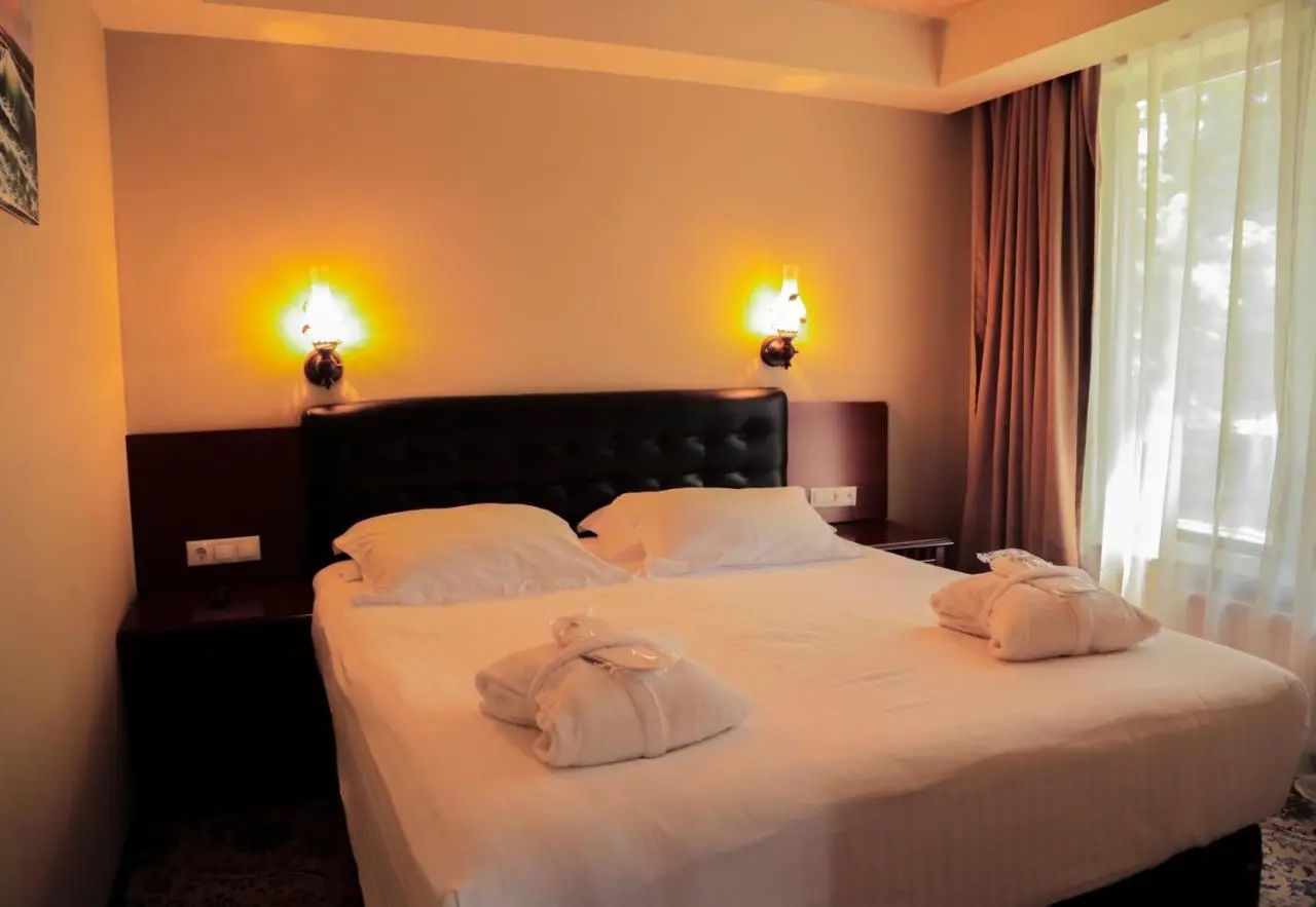 Borjomi Palace Health & Spa Center