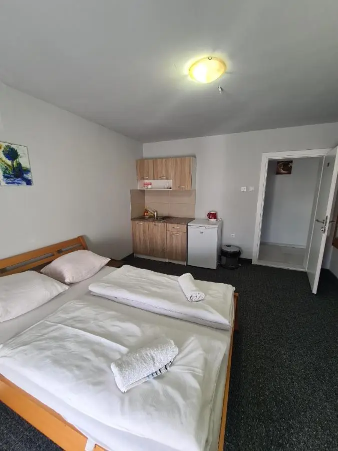 Apartments and Rooms Ski