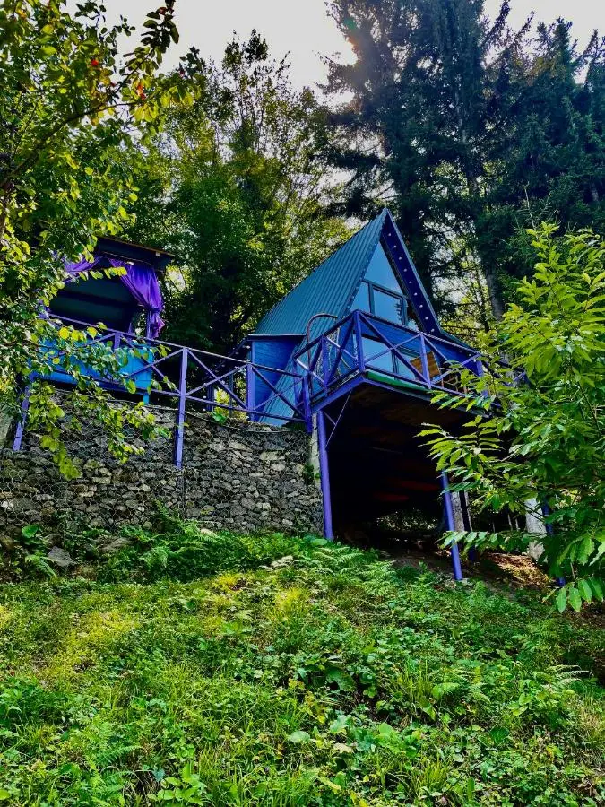 Forest House