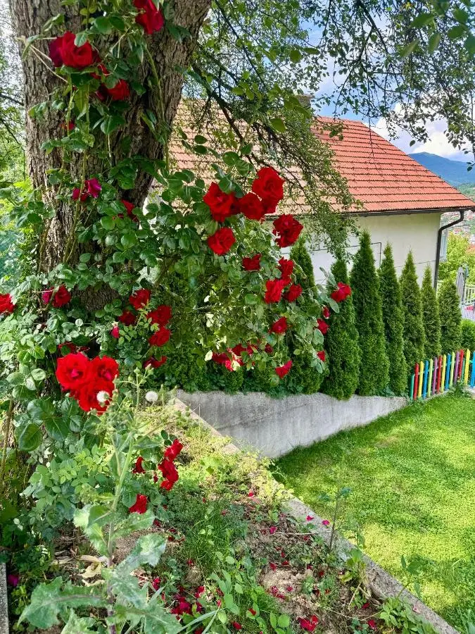 Sarajevo Flower Garden - Entire House & Private Garden