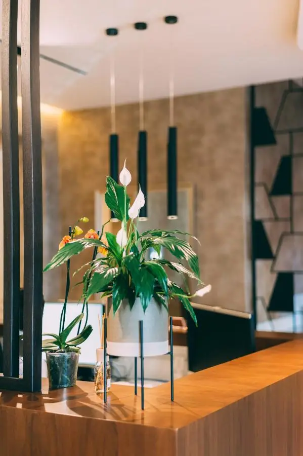 Hotel Stela Center