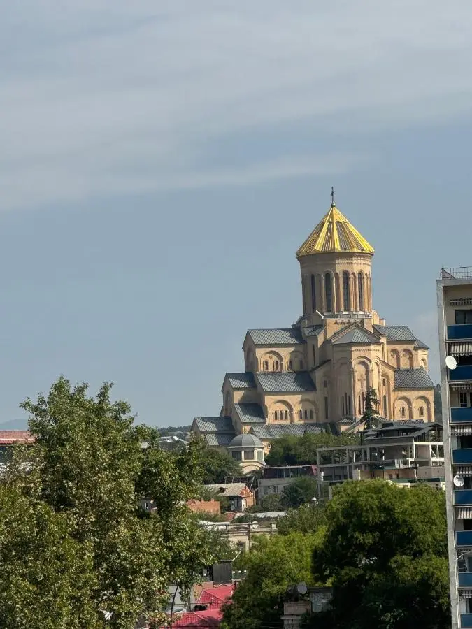 NMetechi