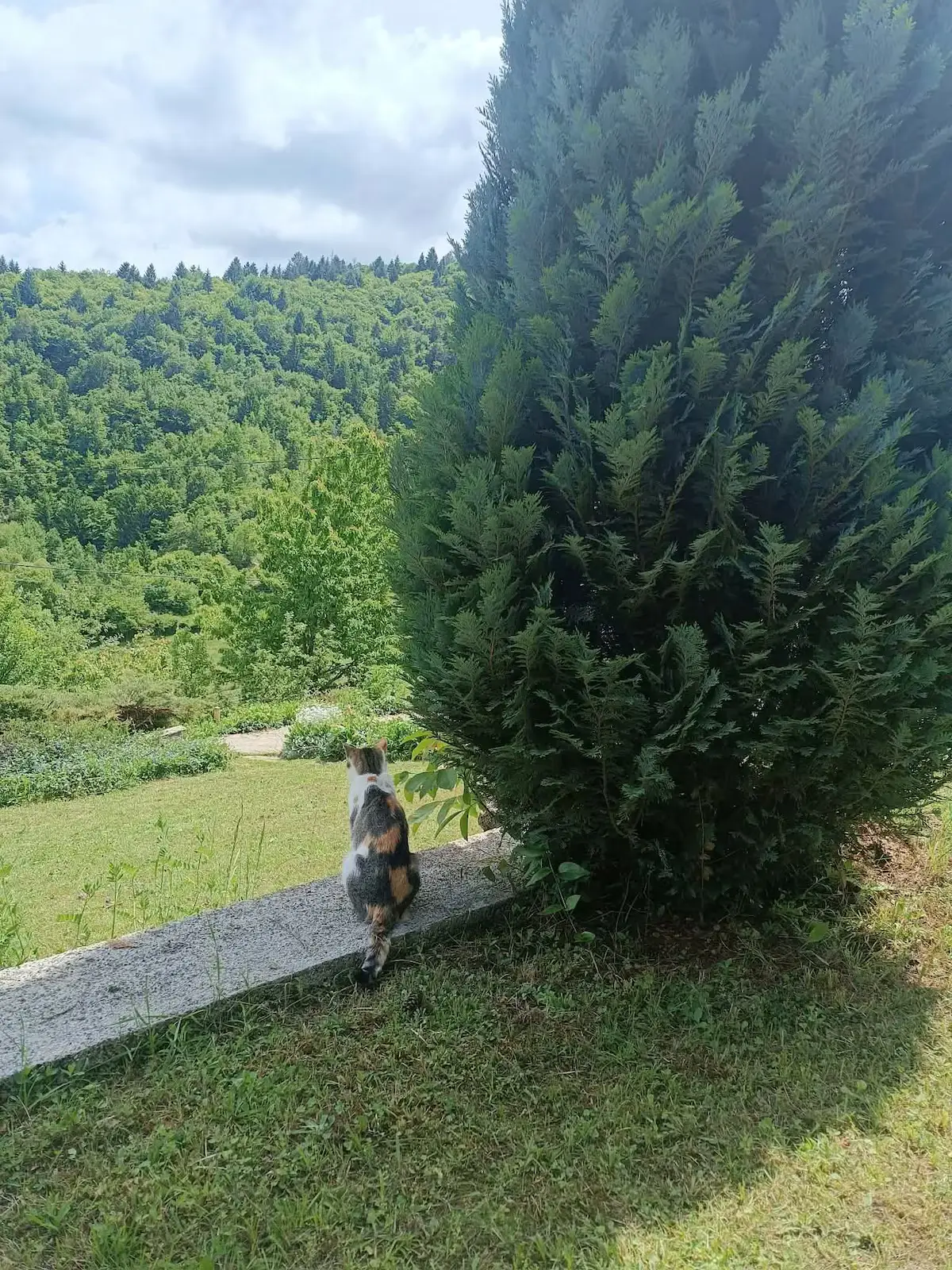 Nature escape Sarajevo