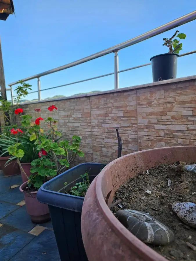 MAin Apartment