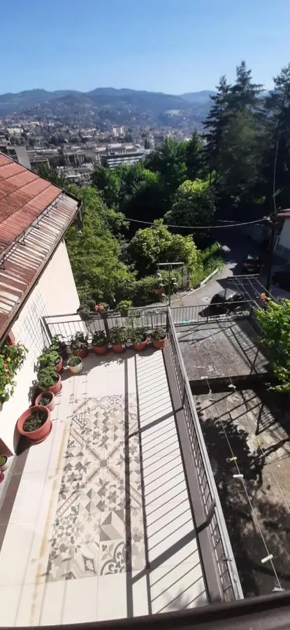 Plavo oko