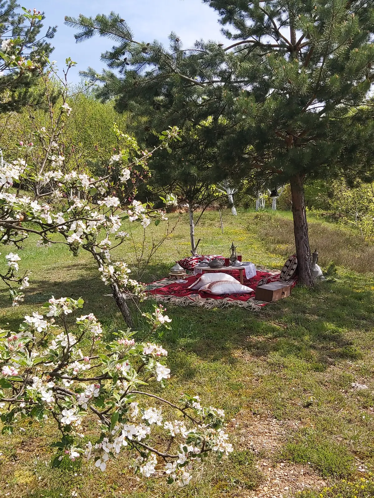 Villa Bloom - Villa in nature with a large orchard