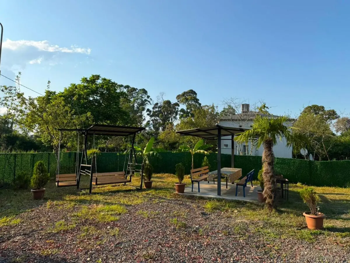 Cottage Lemons In Gonio
