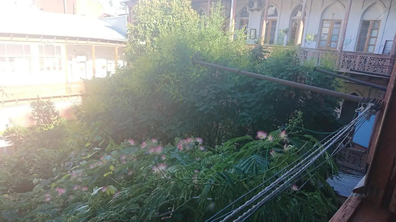 Grandma`s Hotel