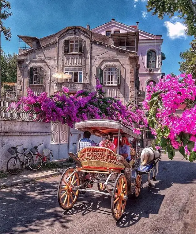 Büyükada Çarşı Pansiyon